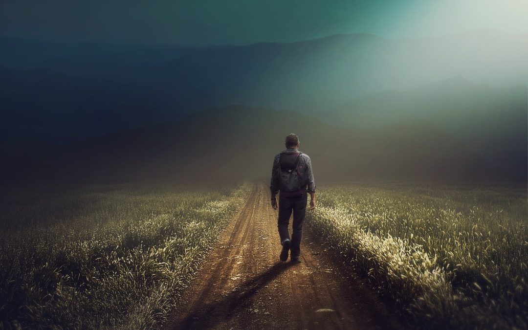 Taking The Land Back